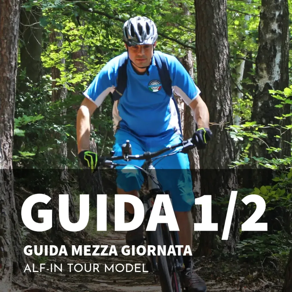 Guida cicloturistica – mezza giornata